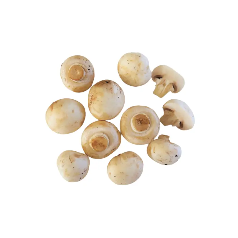 Mushrooms