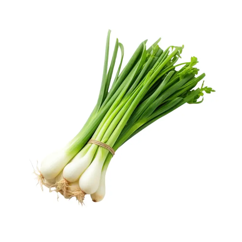 Spring Onion